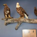 OTRA2013_1952 (July 21, 2013)